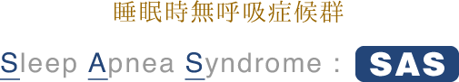 睡眠時無呼吸症候群／Sleep Apnea Syndrome:SAS